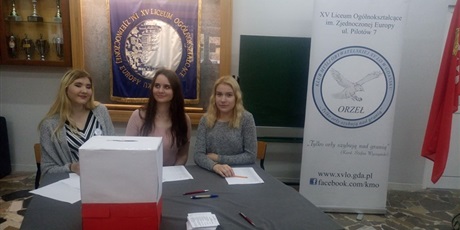 Powiększ grafikę: prawybory-samorzadowe-w-xv-lo-20308.jpg