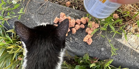 Powiększ grafikę: Biwak integracyjny klasy 0h Kąty Rybackie WRZESIEŃ 2023