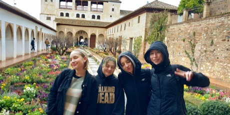 Powiększ grafikę: Kurs językowy w szkole Ail Malaga 2024