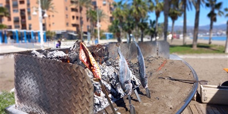 Powiększ grafikę: Kurs językowy w szkole Ail Malaga 2024